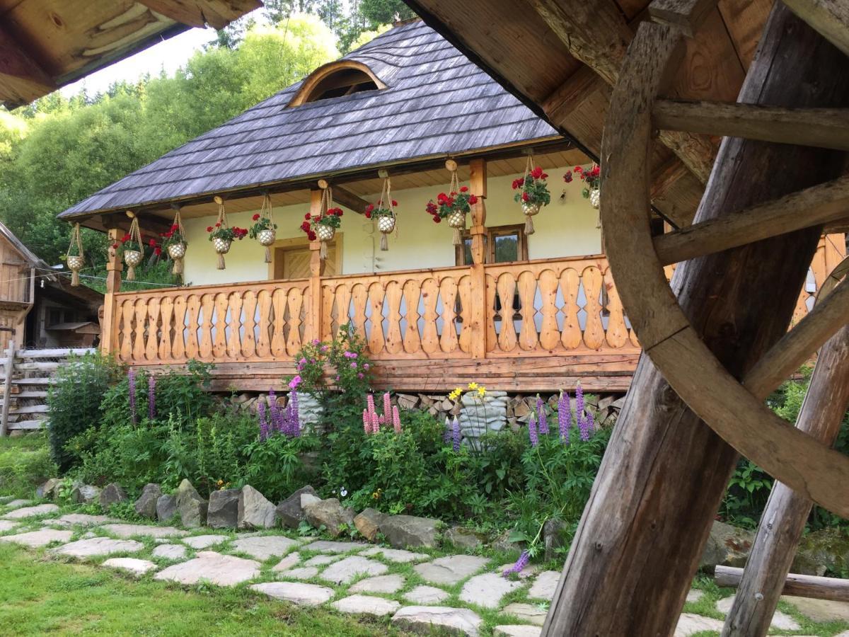 Pensiunea Agroturistica Casa Colinita Vatra Moldoviţei Exterior foto