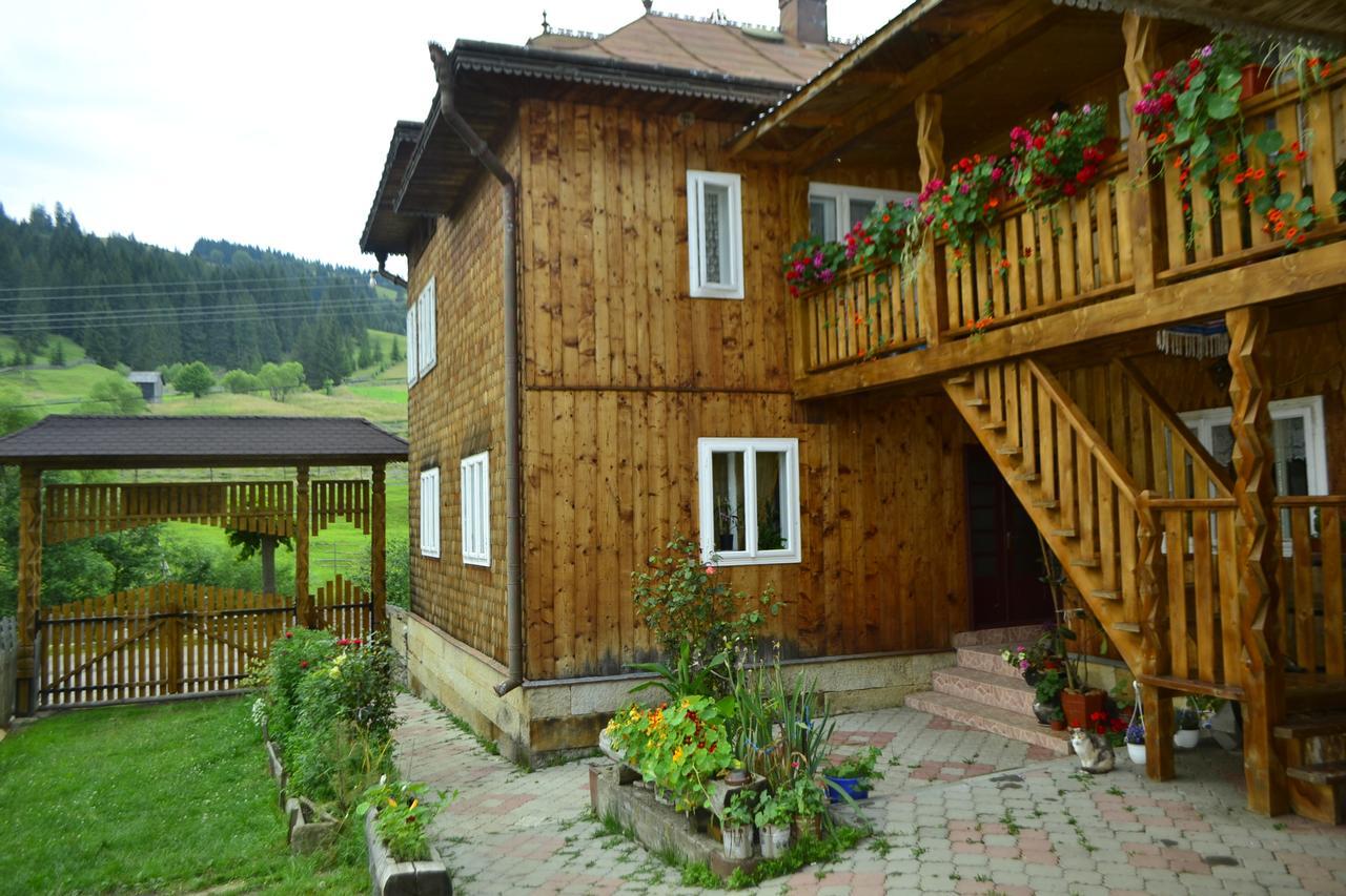 Pensiunea Agroturistica Casa Colinita Vatra Moldoviţei Exterior foto